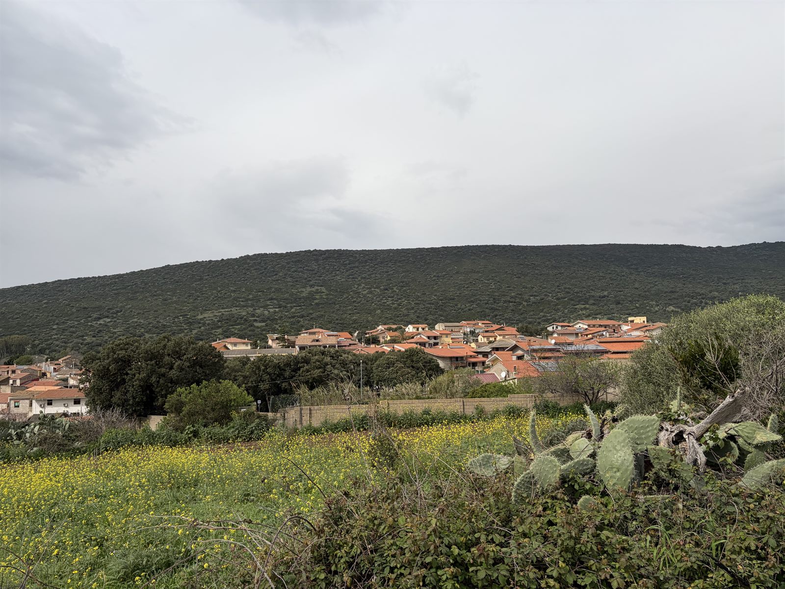 Villetta indipendente da rifinire con giardino a Narbolia — foto 9 di 16