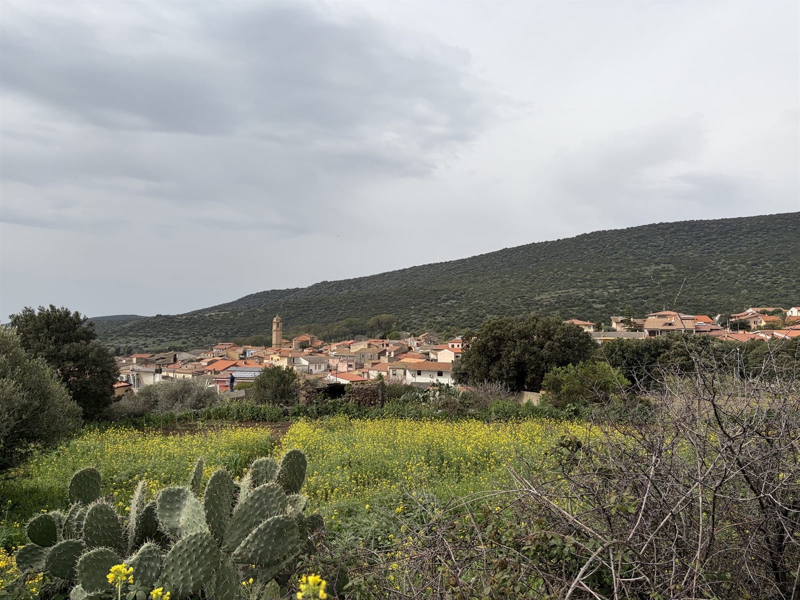 Villetta indipendente da rifinire con giardino a Narbolia — foto 11 di 16
